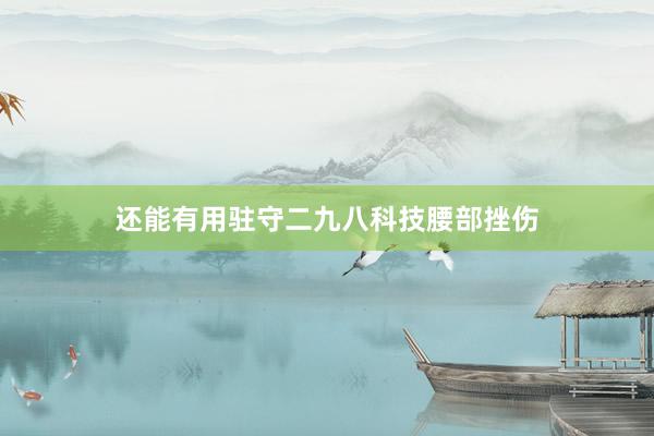 还能有用驻守二九八科技腰部挫伤