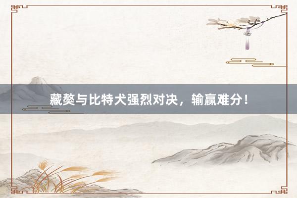 藏獒与比特犬强烈对决,输赢难分!