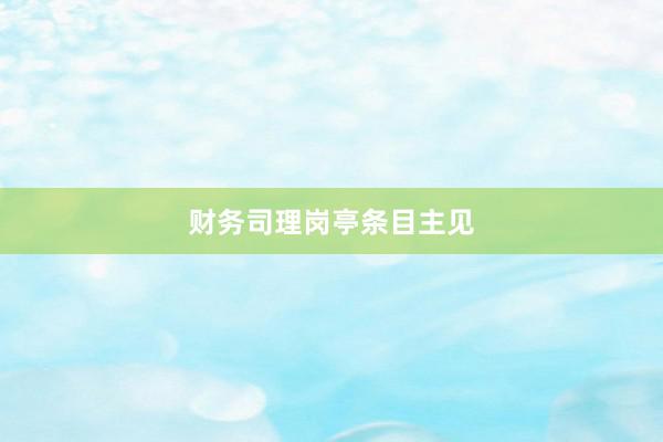 财务司理岗亭条目主见